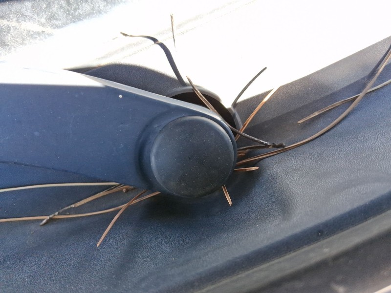 Recambio de motor limpia delantero para ssangyong tivoli 1.6 xdi 160 referencia OEM IAM 8610035001  