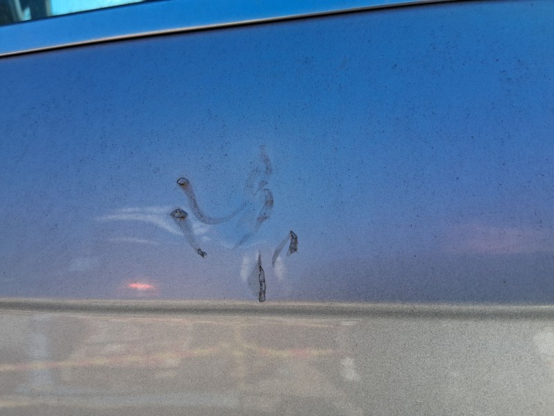 Recambio de puerta delantera derecha para audi a4 b7 (8ec) 2.0 tdi 16v referencia OEM IAM 8E0831052L  