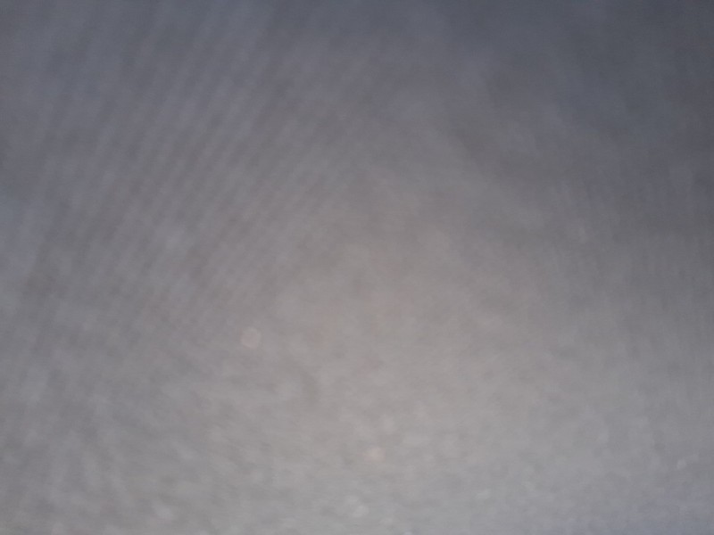 Recambio de elevalunas trasero izquierdo para audi a4 b7 (8ec) 2.0 tdi 16v referencia OEM IAM 8E0839461C  