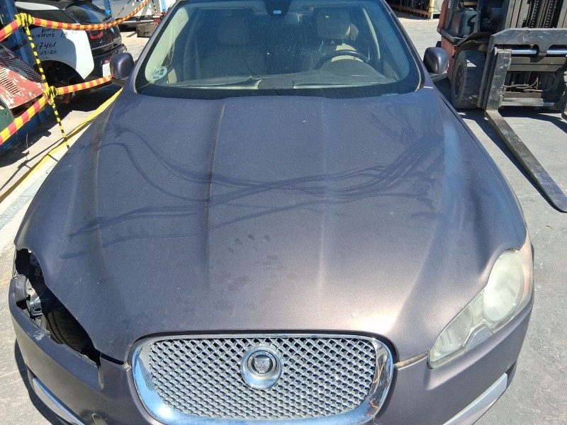 Recambio de capot para jaguar xf i (x250) 2.7 d referencia OEM IAM C2Z11444  