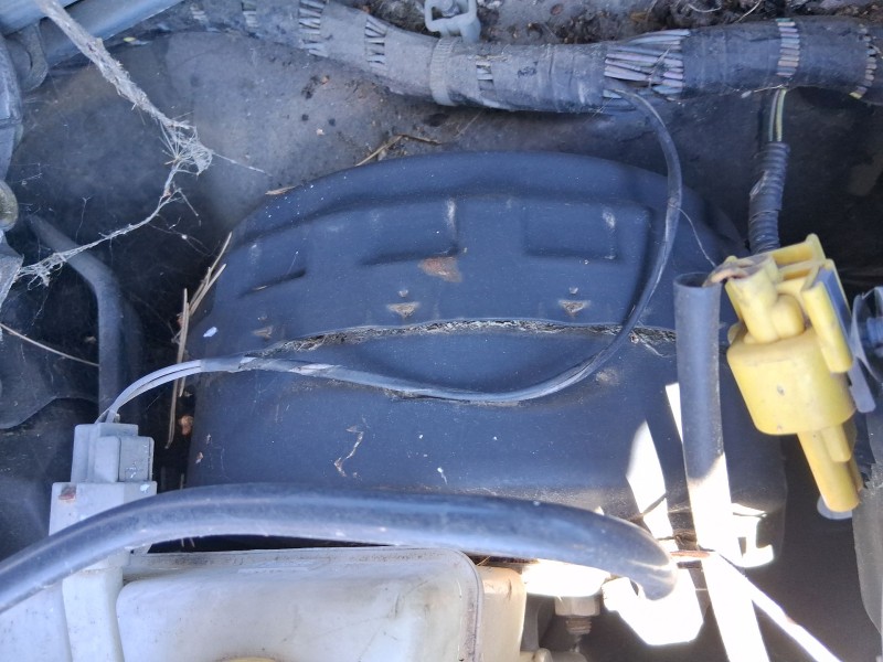 Recambio de servofreno para jaguar xf i (x250) 2.7 d referencia OEM IAM C2Z2670  