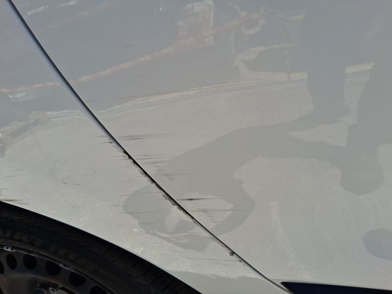 Recambio de puerta trasera derecha para dacia lodgy (js_) 1.5 dci referencia OEM IAM 821005599R ROZADA 