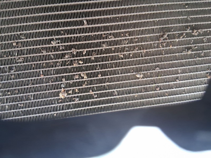 Recambio de condensador / radiador aire acondicionado para mitsubishi asx (ga_w_) 1.6 mivec (ga1w) referencia OEM IAM 7812A352  