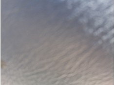 ELEVALUNAS DELANTERO DERECHO 807200M012 