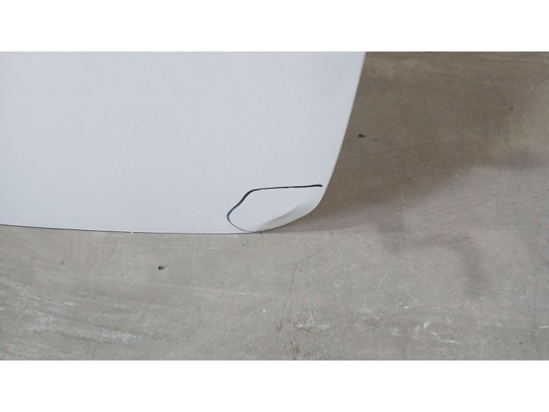 Recambio de puerta trasera derecha carga para fiat doblo cargo (263_) 1.3 d multijet (263wxu1a) referencia OEM IAM 52000031 MUY 