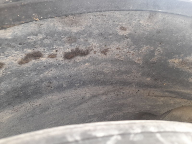 Recambio de plastico pase rueda del. dch. para dodge caliber 2.0 crd referencia OEM IAM 05303866AA  