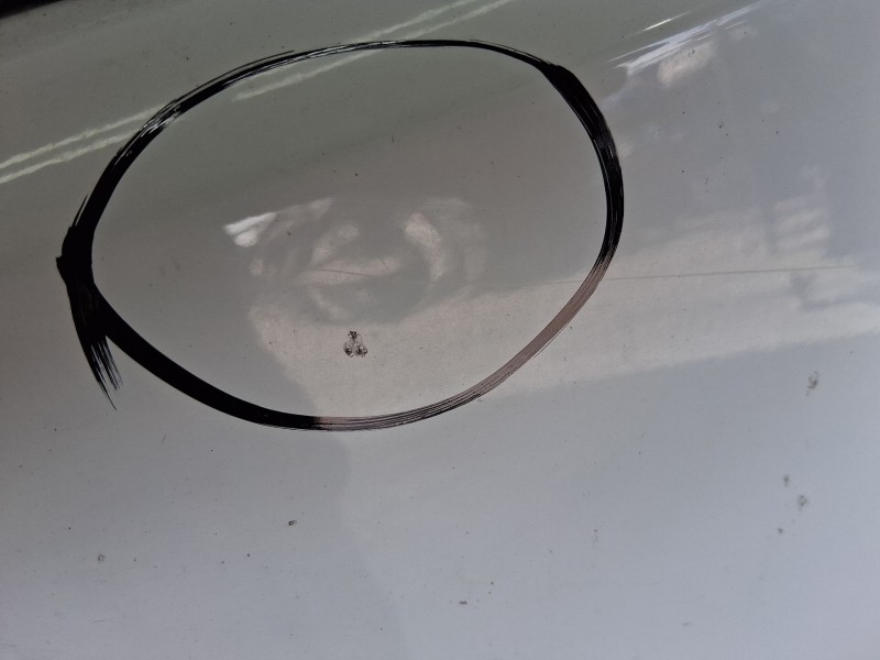 Recambio de puerta delantera izquierda para citroën berlingo furgoneta/monovolumen (k9) 1.6 bluehdi 75 referencia OEM IAM 984349