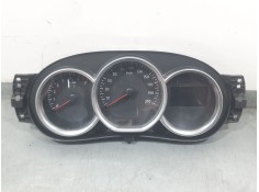 CUADRO INSTRUMENTOS 248102382R 