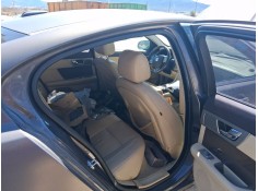 Recambio de goma controno puerta trasera derecha para jaguar xf i (x250) 2.7 d referencia OEM IAM   
