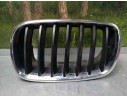 Recambio de rejilla capo izq para bmw x5 (e70) 3.0d referencia OEM IAM 51137157687  TOCADA