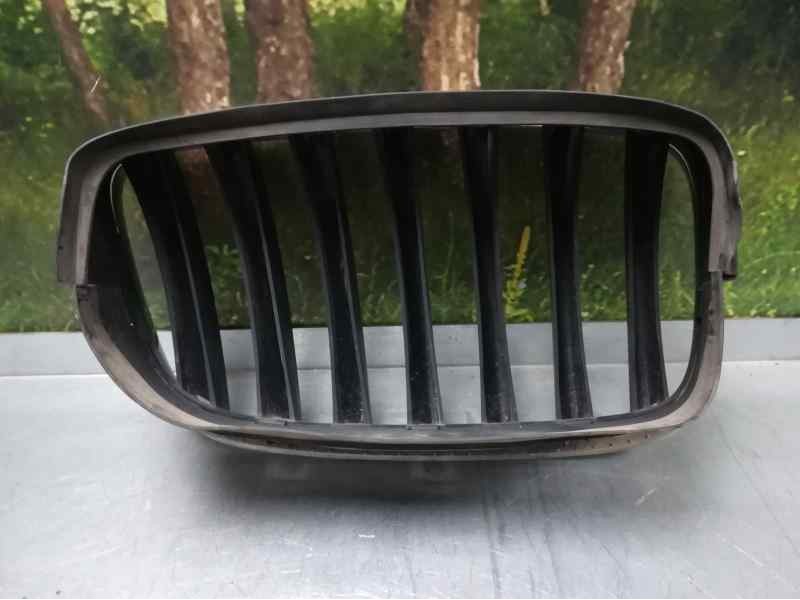 Recambio de rejilla capo izq para bmw x5 (e70) 3.0d referencia OEM IAM 51137157687  TOCADA