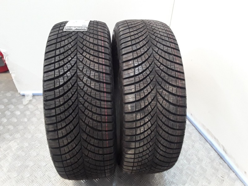 Recambio de neumatico pareja para neumaticos nuevos - referencia OEM IAM 2255517C109-107H GOODYEAR 225/55/17C-109/107H