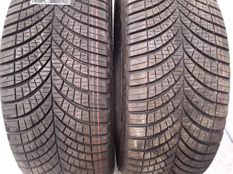 Recambio de neumatico pareja para neumaticos nuevos - referencia OEM IAM 2255517C109-107H GOODYEAR 225/55/17C-109/107H