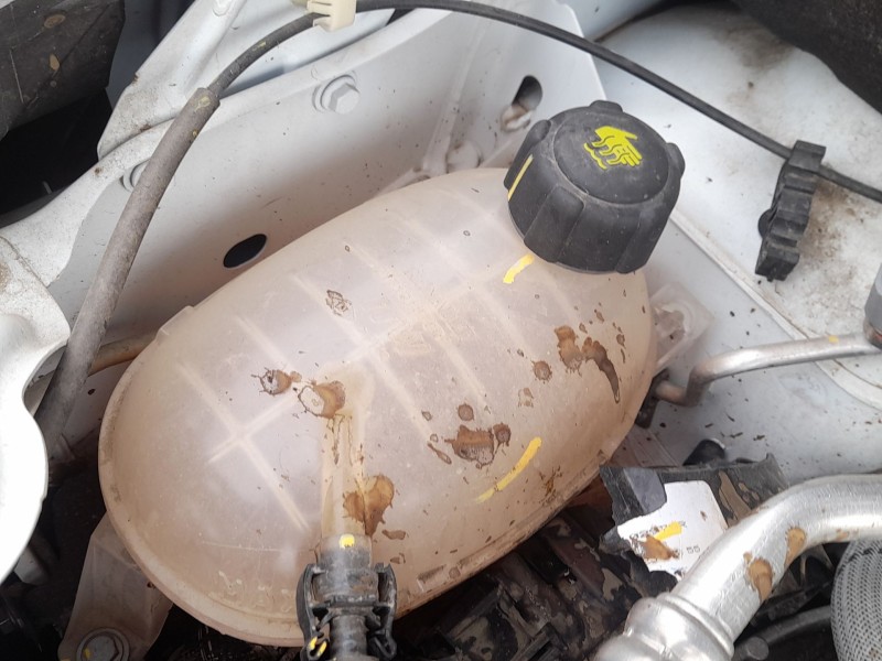 Recambio de deposito expansion para renault express furgoneta/monovolumen 1.5 blue dci 75 (f6aa) referencia OEM IAM 217104354R  