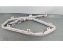Recambio de airbag cortina delantero izquierdo para porsche macan (95b) 3.0 s diesel referencia OEM IAM 95B880741 TAKATA 1510403