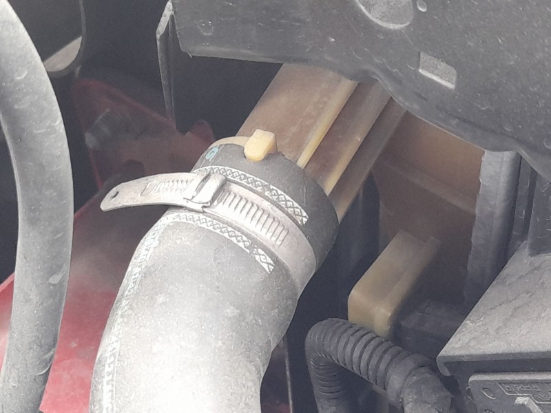 Recambio de radiador agua para ford ka (ru8) 1.2 referencia OEM IAM 1814153  