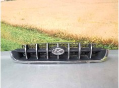 REJILLA DELANTERA 
