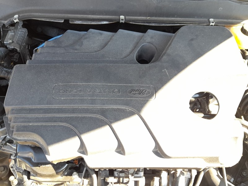 Recambio de tapa motor para ford mondeo v hatchback (ce) 2.0 tdci referencia OEM IAM DS7Q6N041BE  