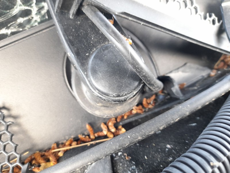 Recambio de motor limpia delantero para citroën c5 aircross (ac_, aj_, ar_, a4_) 1.5 bluehdi 130 (acyhzj, acyhzr) referencia OEM