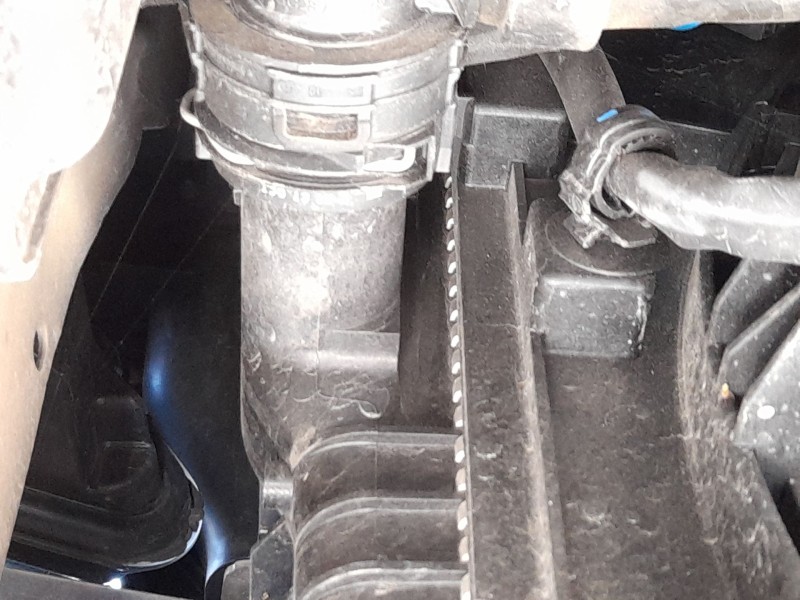 Recambio de radiador agua para peugeot 308 sw ii (lc_, lj_, lr_, lx_, l4_) 1.5 bluehdi 130 referencia OEM IAM 9809141780  