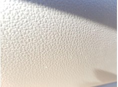 ELEVALUNAS TRASERO IZQUIERDO 20952723 