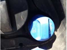 DEPOSITO ADBLUE 