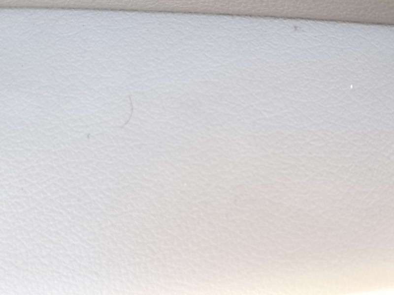 Recambio de elevalunas trasero derecho para audi q5 (8rb) 2.0 tdi quattro referencia OEM IAM 8R0839462E  