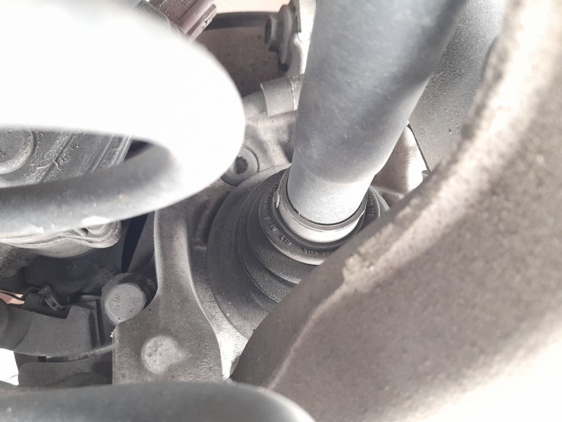 Recambio de transmision trasera izquierda para audi q5 (8rb) 2.0 tdi quattro referencia OEM IAM 8R0501203C  