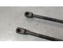 Recambio de amortiguadores maletero / porton para land rover range rover evoque (l551) 2.0 d150 mhev 4x4 referencia OEM IAM   