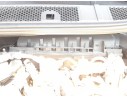 Recambio de carcasa filtro aire para opel corsa f (p2jo) 1.2 (68) referencia OEM IAM 9812735680  