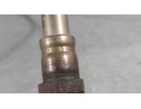 Recambio de sonda lambda para volkswagen polo vi (aw1, bz1, ae1) 1.0 referencia OEM IAM 04E906262FB  