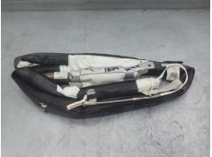 AIRBAG CORTINA DELANTERO DERECHO EX20060139 