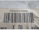 Recambio de filtro de particulas para citroën jumpy iii furgoneta (v_) 1.5 bluehdi 120 referencia OEM IAM 9846243080  