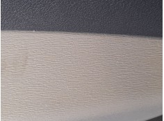 ELEVALUNAS DELANTERO DERECHO 807201941R 