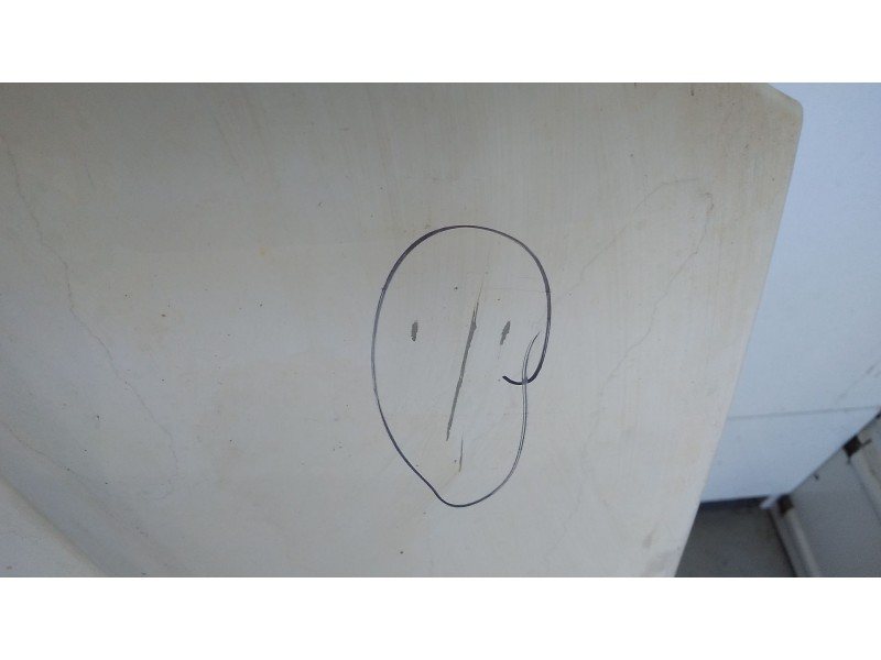 Recambio de capot para nissan kubistar (x76) pro (l1) referencia OEM IAM 6510000QAD  