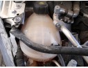 Recambio de deposito expansion para renault clio v (b7_) 1.0 sce 65 (b7mg) referencia OEM IAM 217108864R  