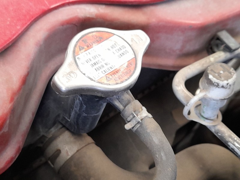 Recambio de radiador agua para nissan pixo (ua0) 1.0 referencia OEM IAM 214004A00D  