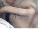 Recambio de servofreno para nissan pixo (ua0) 1.0 referencia OEM IAM 472104A00L  