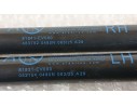 Recambio de amortiguadores maletero / porton para kia ev3 referencia OEM IAM 81831EV000  