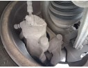 Recambio de pinza freno delantera derecha para audi a3 (8l1) 1.9 tdi referencia OEM IAM 1J0615124D  