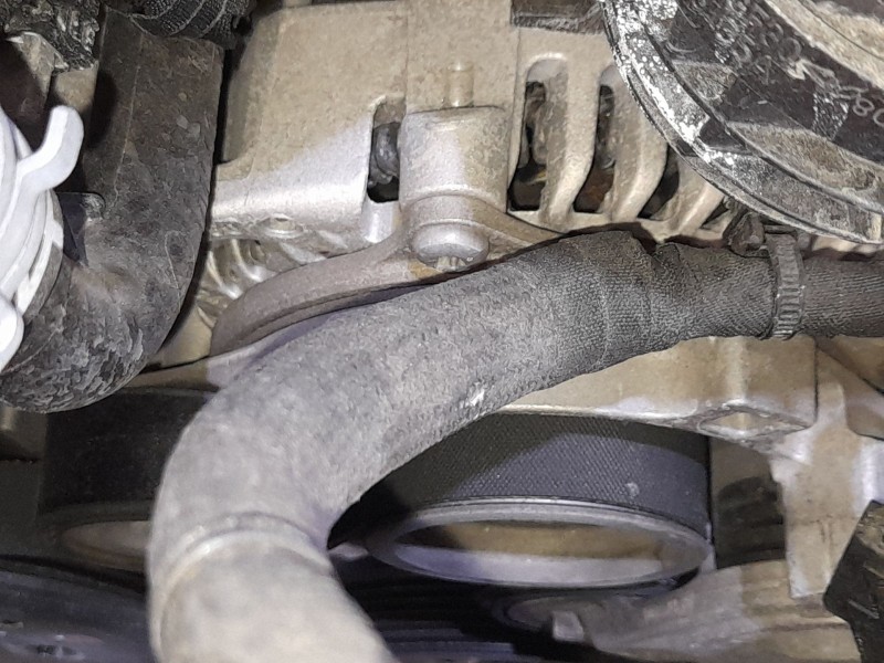 Recambio de alternador para seat leon (kl1, klg) 1.5 etsi referencia OEM IAM 05E903018G  