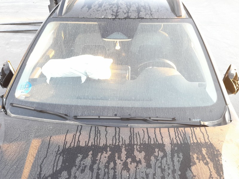 Recambio de parabrisas para dacia sandero iii 1.0 tce 90 eco-g referencia OEM IAM 727124103R  