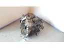 Recambio de caja cambios para hyundai i20 i (pb, pbt) 1.2 referencia OEM IAM MA1772 4300002611 888538