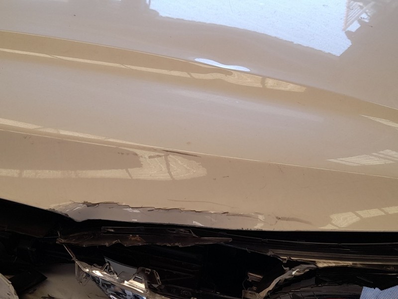 Recambio de capot para kia rio iv (yb, sc, fb) 1.25 referencia OEM IAM 66400H8000 TOCADO 