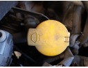 Recambio de deposito limpia para renault grand scénic iii (jz0/1_) 1.5 dci referencia OEM IAM 289104118R  