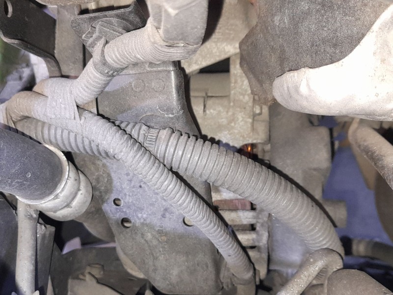 Recambio de alternador para mazda 2 (de_, dh_) 1.4 mzr-cd referencia OEM IAM Y40518300  