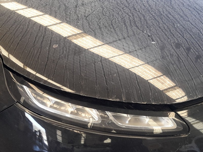 Recambio de piloto delantero derecho para citroën c4 cactus 1.2 vti 82 referencia OEM IAM   