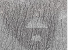 CAMARA 