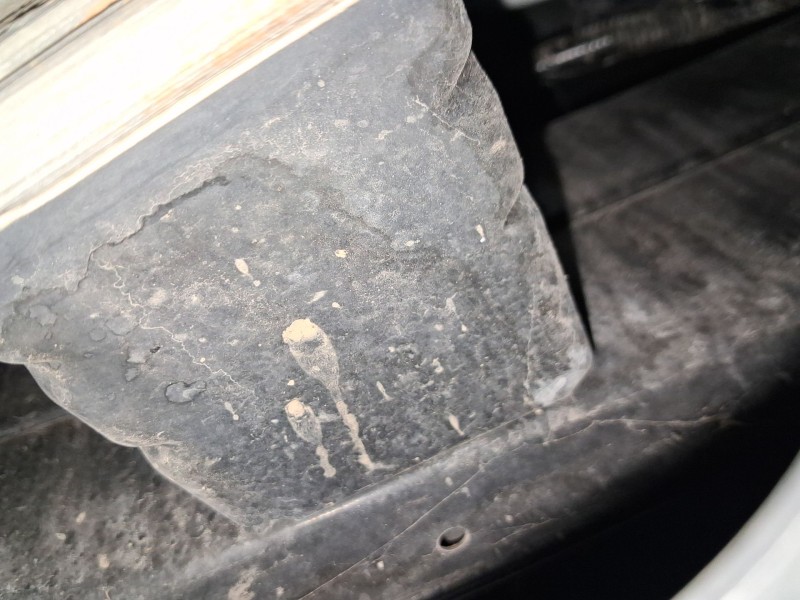 Recambio de refuerzo paragolpes trasero para nissan leaf (ze1) electric referencia OEM IAM H50305SHMH  