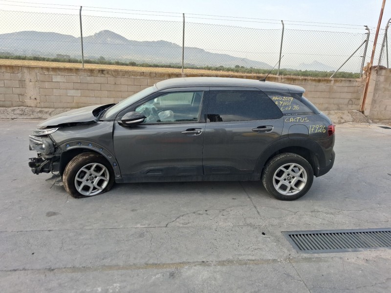 citroën c4 cactus del año 2019